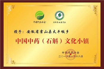 中国中药（石斛）文化小镇